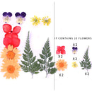 Kleine echte getrocknete Blumen, natürliche Trockenpflanzen für Kerzen, Epoxidharz, Anhänger, Halskette, Schmuckherstellung, Handwerk, DIY Accessori