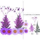 Kleine echte getrocknete Blumen, natürliche Trockenpflanzen für Kerzen, Epoxidharz, Anhänger, Halskette, Schmuckherstellung, Handwerk, DIY Accessori