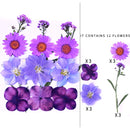 Kleine echte getrocknete Blumen, natürliche Trockenpflanzen für Kerzen, Epoxidharz, Anhänger, Halskette, Schmuckherstellung, Handwerk, DIY Accessori