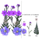 Kleine echte getrocknete Blumen, natürliche Trockenpflanzen für Kerzen, Epoxidharz, Anhänger, Halskette, Schmuckherstellung, Handwerk, DIY Accessori