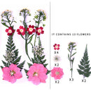 Kleine echte getrocknete Blumen, natürliche Trockenpflanzen für Kerzen, Epoxidharz, Anhänger, Halskette, Schmuckherstellung, Handwerk, DIY Accessori