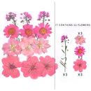 Kleine echte getrocknete Blumen, natürliche Trockenpflanzen für Kerzen, Epoxidharz, Anhänger, Halskette, Schmuckherstellung, Handwerk, DIY Accessori