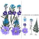 Kleine echte getrocknete Blumen, natürliche Trockenpflanzen für Kerzen, Epoxidharz, Anhänger, Halskette, Schmuckherstellung, Handwerk, DIY Accessori