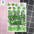 Kleine echte getrocknete Blumen, natürliche Trockenpflanzen für Kerzen, Epoxidharz, Anhänger, Halskette, Schmuckherstellung, Handwerk, DIY Accessori