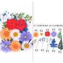 Kleine echte getrocknete Blumen, natürliche Trockenpflanzen für Kerzen, Epoxidharz, Anhänger, Halskette, Schmuckherstellung, Handwerk, DIY Accessori