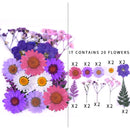 Kleine echte getrocknete Blumen, natürliche Trockenpflanzen für Kerzen, Epoxidharz, Anhänger, Halskette, Schmuckherstellung, Handwerk, DIY Accessori