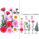 Kleine echte getrocknete Blumen, natürliche Trockenpflanzen für Kerzen, Epoxidharz, Anhänger, Halskette, Schmuckherstellung, Handwerk, DIY Accessori