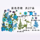 Kleine echte getrocknete Blumen, natürliche Trockenpflanzen für Kerzen, Epoxidharz, Anhänger, Halskette, Schmuckherstellung, Handwerk, DIY Accessori