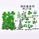 Kleine echte getrocknete Blumen, natürliche Trockenpflanzen für Kerzen, Epoxidharz, Anhänger, Halskette, Schmuckherstellung, Handwerk, DIY Accessori