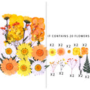 Kleine echte getrocknete Blumen, natürliche Trockenpflanzen für Kerzen, Epoxidharz, Anhänger, Halskette, Schmuckherstellung, Handwerk, DIY Accessori