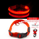 Collar de perro Led con carga USB, Collar antipérdida/para evitar accidentes de coche para perros, cachorros, collares para perros, suministros LED, productos para mascotas
