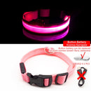 Collar de perro Led con carga USB, Collar antipérdida/para evitar accidentes de coche para perros, cachorros, collares para perros, suministros LED, productos para mascotas