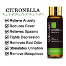 10ML Lavender Eucalyptus Pure Essential Oils Rose Lemon Jasmine Vanilla Mint Sandalwood Bergamot Tea Tree Diffuser Aroma Oil