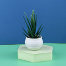 Mini plantas artificiales de Aloe, bonsái, pequeño árbol simulado, maceta, plantas, flores falsas, mesa de oficina, adornos en maceta, decoración del jardín del hogar