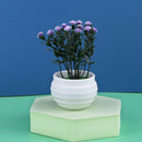 Mini plantas artificiales de Aloe, bonsái, pequeño árbol simulado, maceta, plantas, flores falsas, mesa de oficina, adornos en maceta, decoración del jardín del hogar