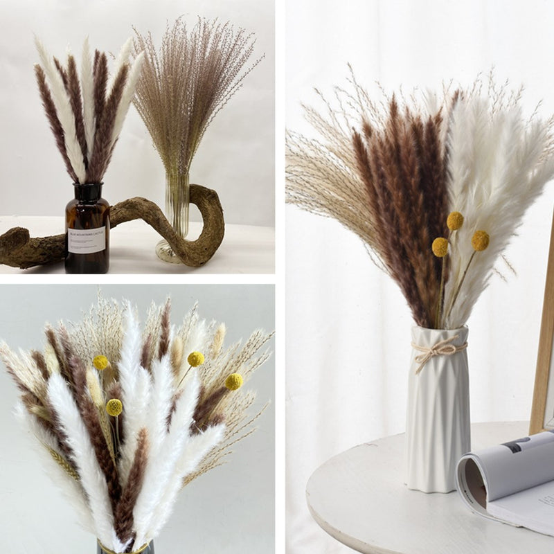 45cm Reed Pampas Wheat Ears Rabbit Tail Grass Natural Dried Flowers Bouquet Wedding Decoration Christmas Party For Home Decor