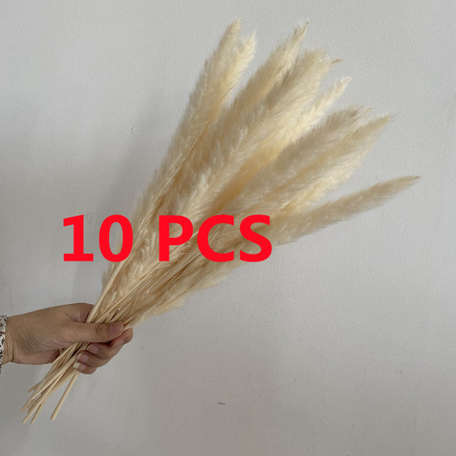 45cm Reed Pampas Wheat Ears Rabbit Tail Grass Natural Dried Flowers Bouquet Wedding Decoration Christmas Party For Home Decor