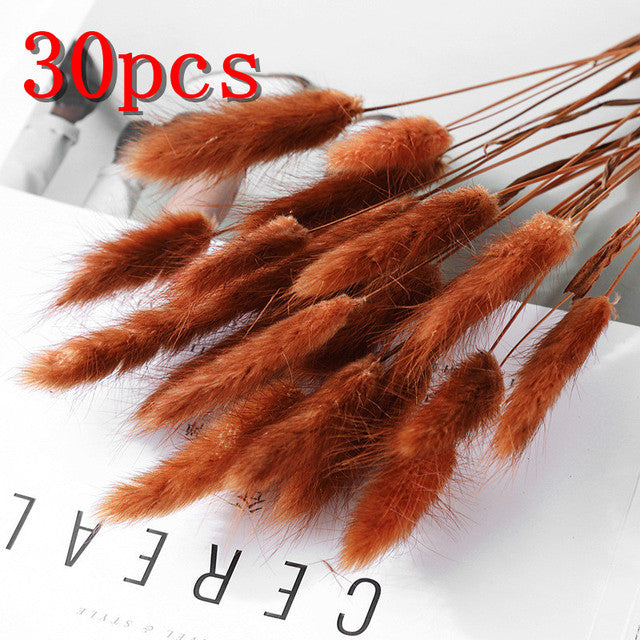 45cm Reed Pampas Wheat Ears Rabbit Tail Grass Natural Dried Flowers Bouquet Wedding Decoration Christmas Party For Home Decor