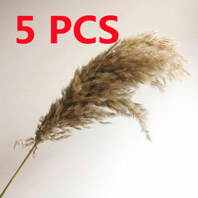 45 cm Reed Pampas Weizenohren Kaninchenschwanz Gras Natürliche Trockenblumen Blumenstrauß Hochzeitsdekoration Weihnachtsfeier für Wohnkultur