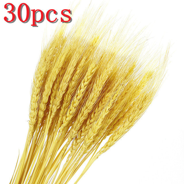 45cm Reed Pampas Wheat Ears Rabbit Tail Grass Natural Dried Flowers Bouquet Wedding Decoration Christmas Party For Home Decor