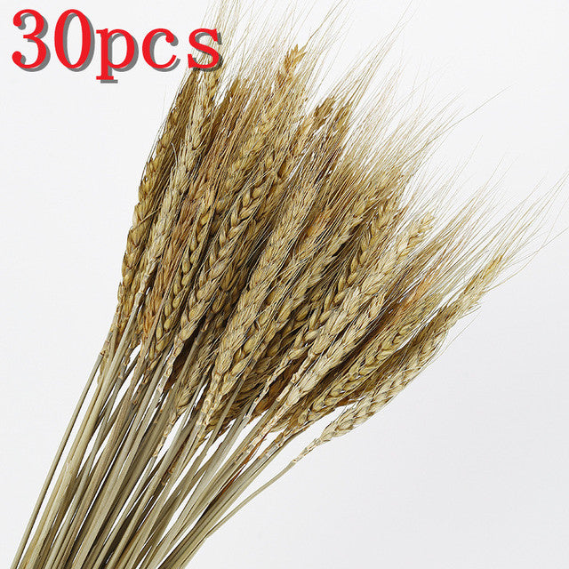 45 cm Reed Pampas Weizenohren Kaninchenschwanz Gras Natürliche Trockenblumen Blumenstrauß Hochzeitsdekoration Weihnachtsfeier für Wohnkultur