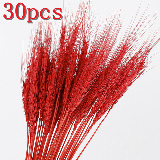 45cm Reed Pampas Wheat Ears Rabbit Tail Grass Natural Dried Flowers Bouquet Wedding Decoration Christmas Party For Home Decor