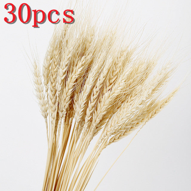 45 cm Reed Pampas Weizenohren Kaninchenschwanz Gras Natürliche Trockenblumen Blumenstrauß Hochzeitsdekoration Weihnachtsfeier für Wohnkultur