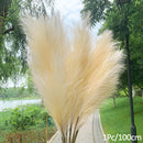 1Pcs Artificial Pampas Grass Home Room Decor Simulation Reed Flower Bouquet DIY Wedding Decoration Birthday Party Supplies