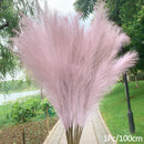 1Pcs Artificial Pampas Grass Home Room Decor Simulation Reed Flower Bouquet DIY Wedding Decoration Birthday Party Supplies