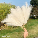 1Pcs Artificial Pampas Grass Home Room Decor Simulation Reed Flower Bouquet DIY Wedding Decoration Birthday Party Supplies