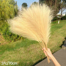 1Pcs Artificial Pampas Grass Home Room Decor Simulation Reed Flower Bouquet DIY Wedding Decoration Birthday Party Supplies