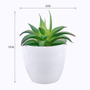 Mini plantas artificiales de Aloe, bonsái, pequeño árbol simulado, maceta, plantas, flores falsas, mesa de oficina, adornos en maceta, decoración del jardín del hogar