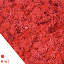 20/40g plantas verdes artificiales vida eterna musgo hierba hogar sala de estar jardín decoración Mini paisaje flor falsa manualidades DIY