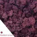 20/40g plantas verdes artificiales vida eterna musgo hierba hogar sala de estar jardín decoración Mini paisaje flor falsa manualidades DIY