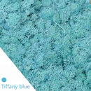 20/40g plantas verdes artificiales vida eterna musgo hierba hogar sala de estar jardín decoración Mini paisaje flor falsa manualidades DIY