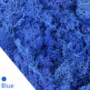 20/40g plantas verdes artificiales vida eterna musgo hierba hogar sala de estar jardín decoración Mini paisaje flor falsa manualidades DIY